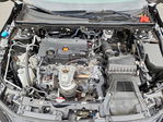 Honda Civic 2024