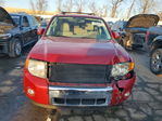 Ford Escape 2010