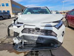 Toyota RAV 4 2025