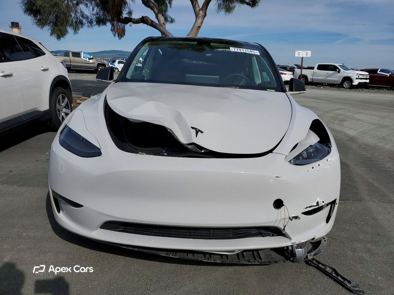 Tesla Model Y 2023