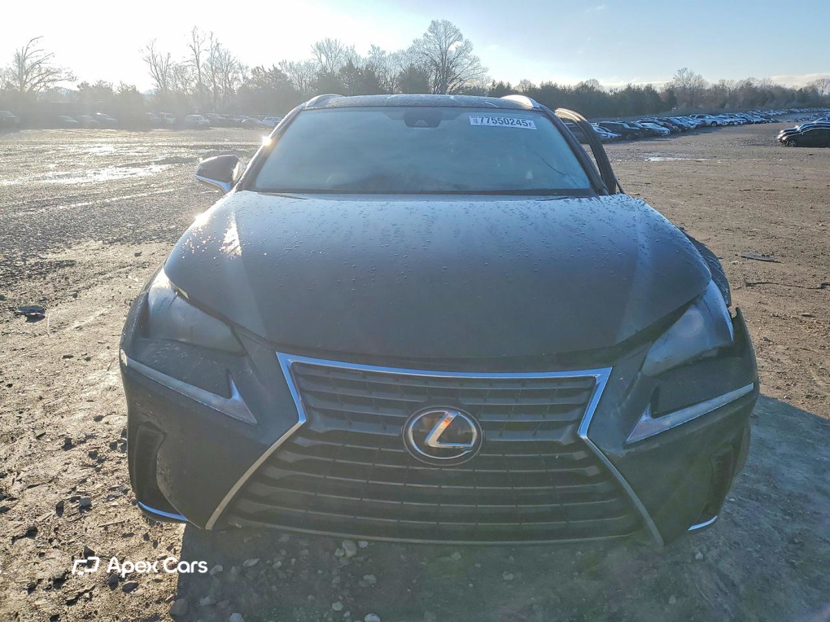 Lexus NX 2021