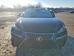Lexus NX 2021