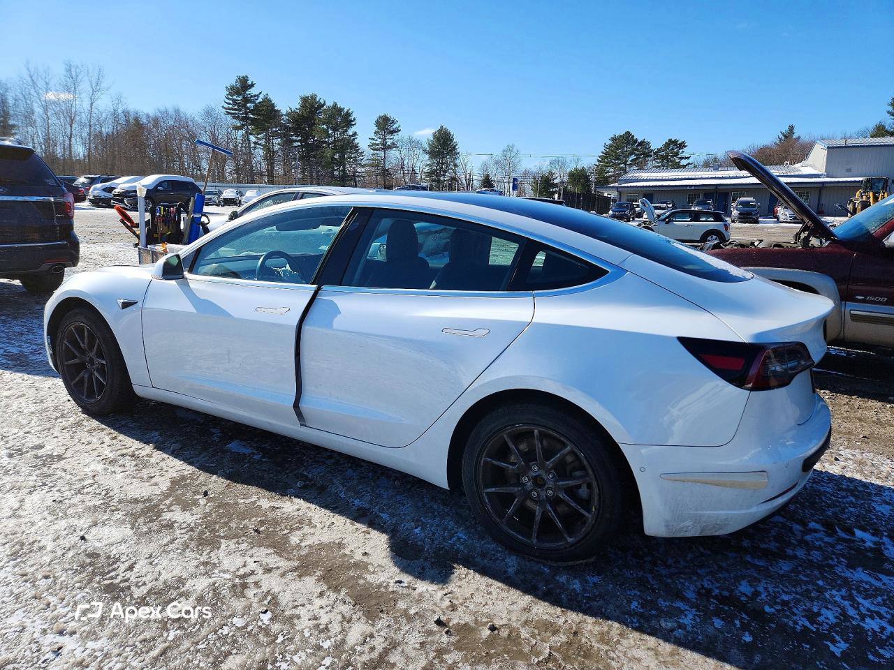 Tesla Model 3 2019