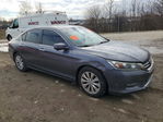 Honda Accord 2013