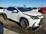 Lexus NX 2022