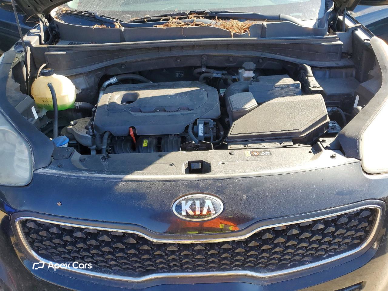 Kia Sportage 2017