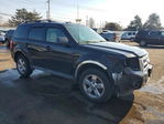 Ford Escape 2012