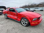 Ford Mustang 2009