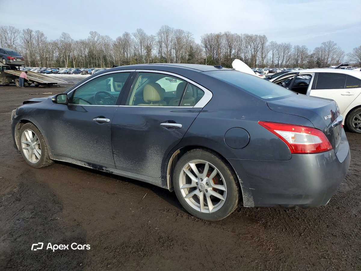 Nissan Maxima 2010