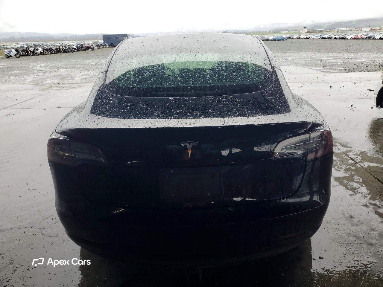 Tesla Model 3 2019