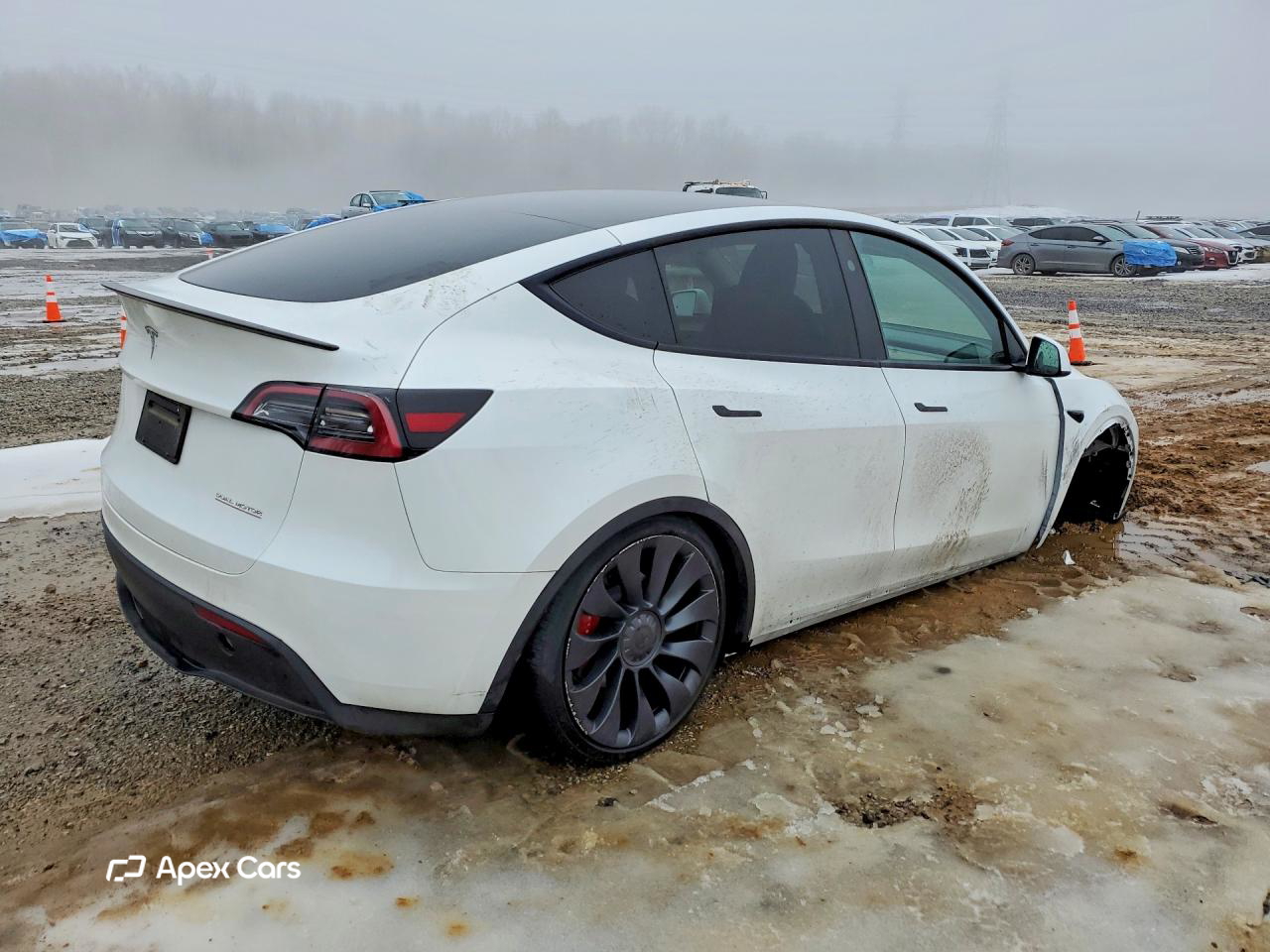 Tesla Model Y 2024