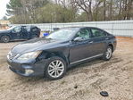 Lexus ES 2011