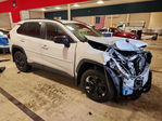 Toyota RAV 4 2019
