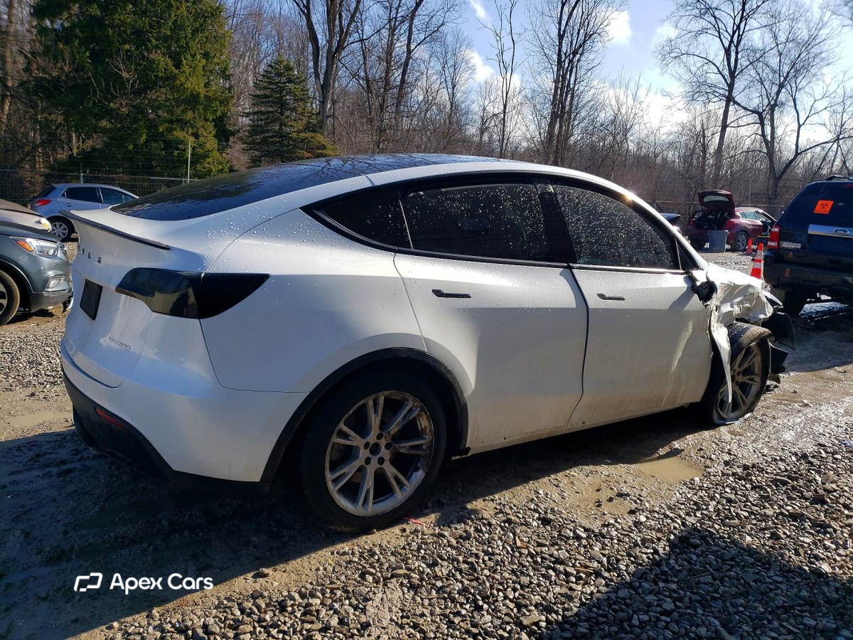 Tesla Model Y 2020