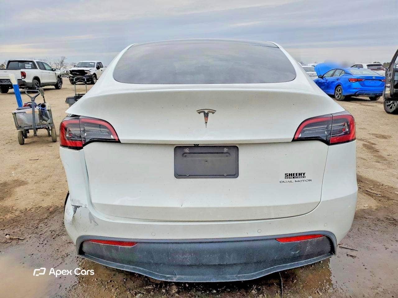Tesla Model Y 2021
