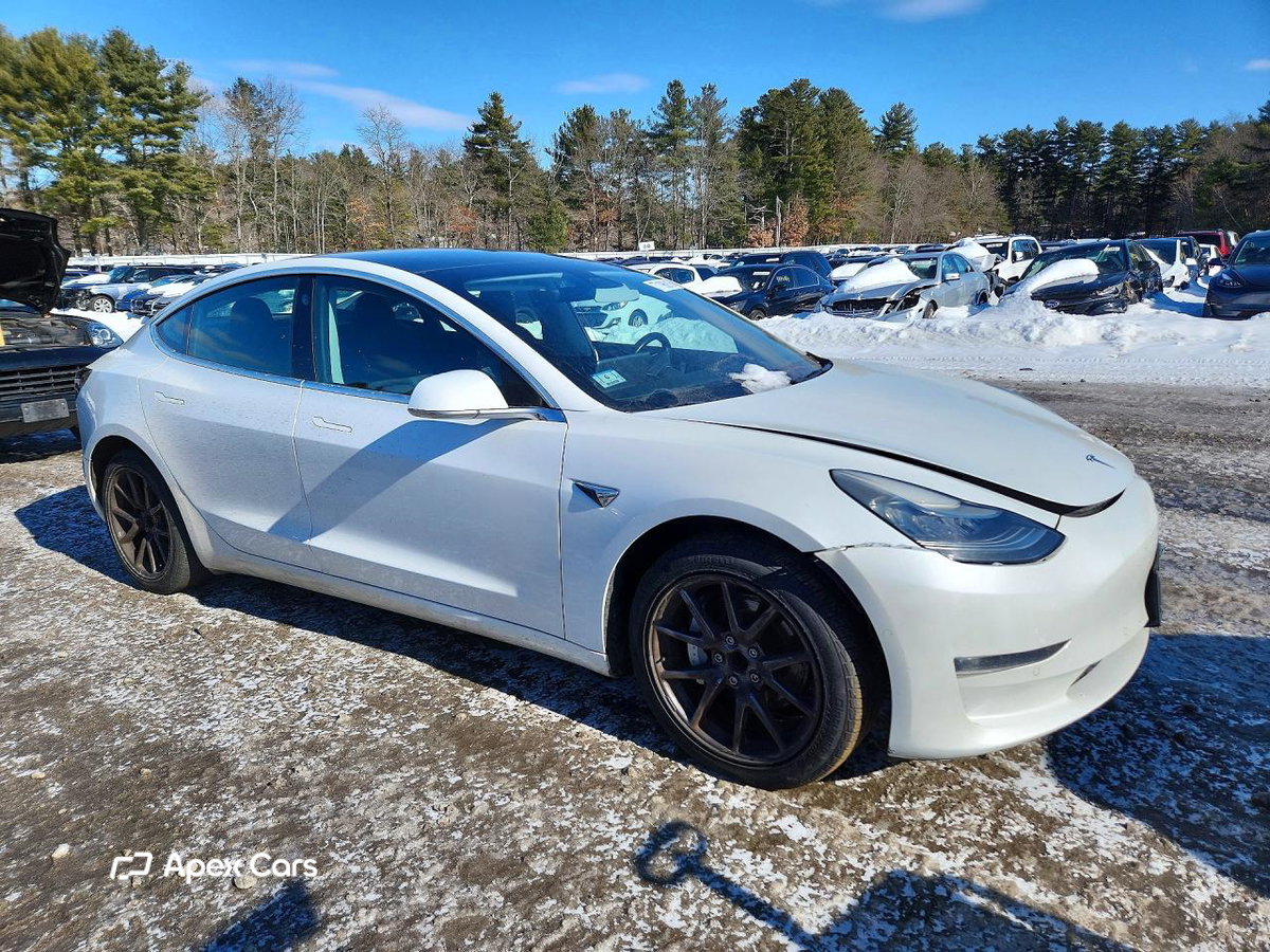 Tesla Model 3 2019