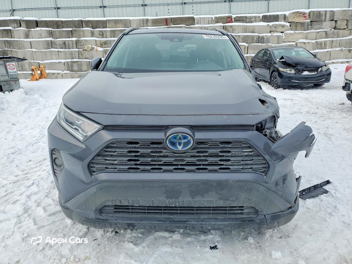 Toyota RAV 4 2019