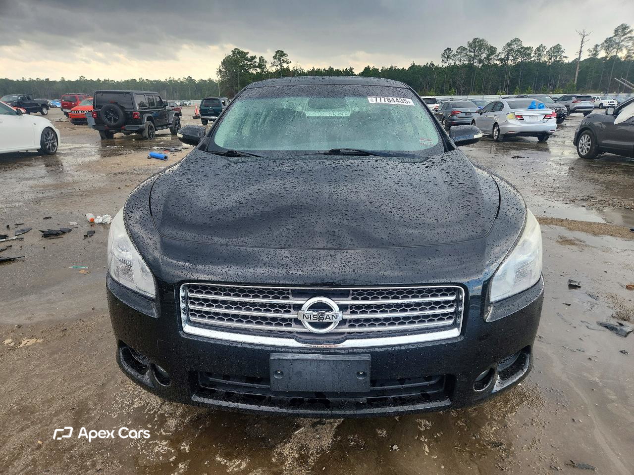 Nissan Maxima 2010