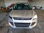 Ford Escape 2016