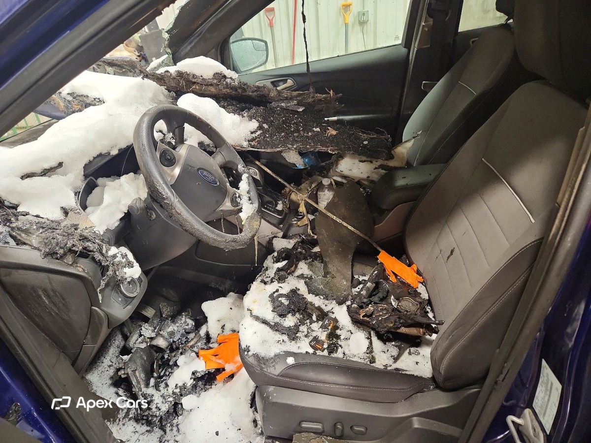 Ford Escape 2014