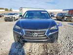 Lexus NX 2015