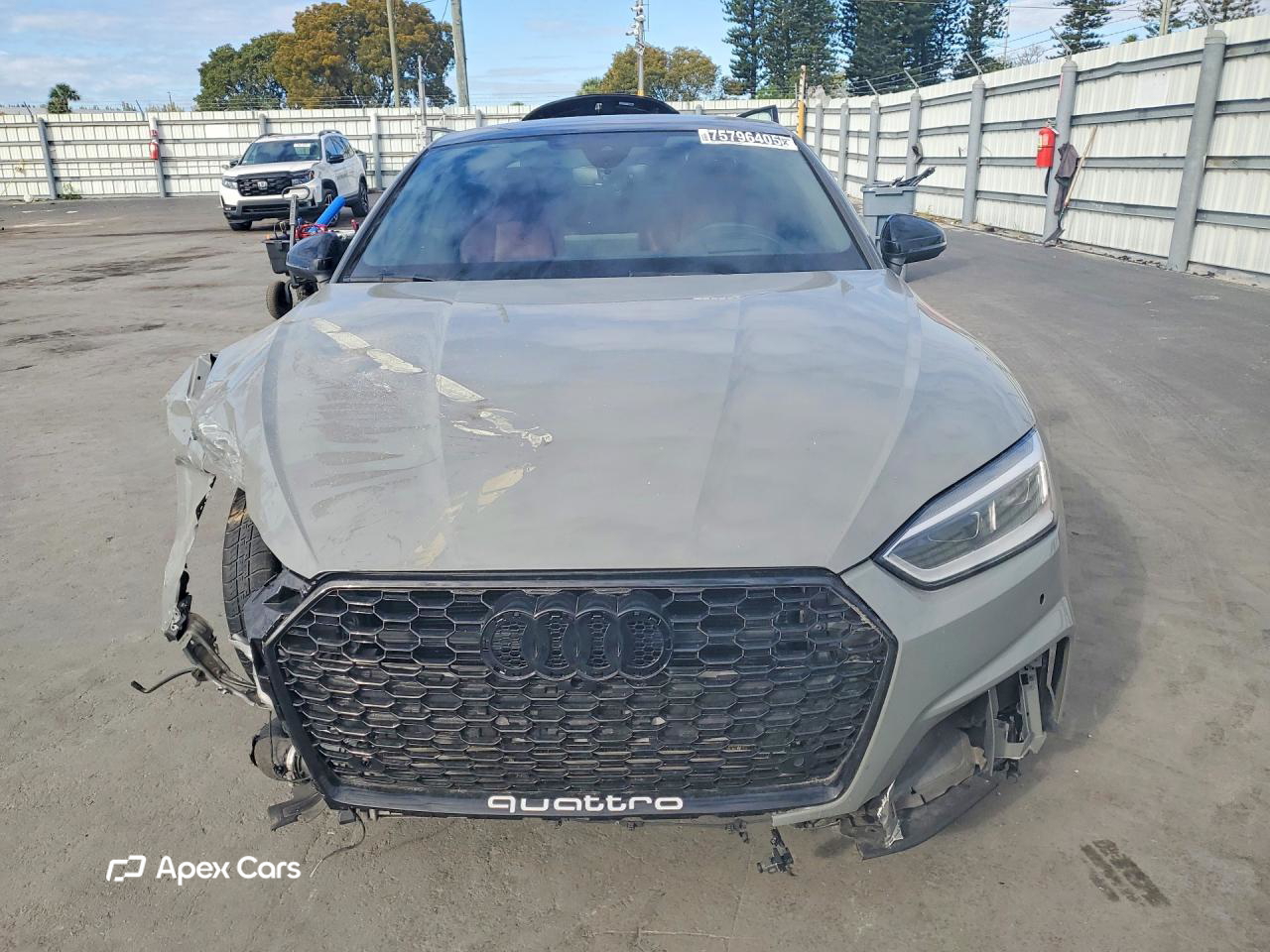Audi RS5 2019