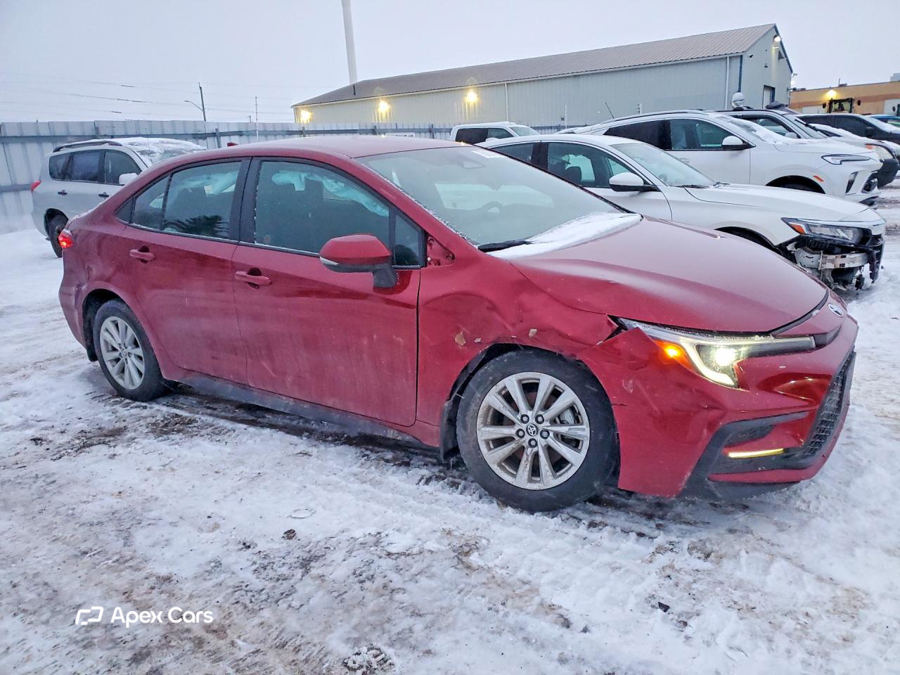 Toyota Corolla 2025