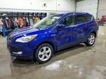 Ford Escape 2016