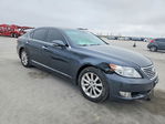 Lexus LS 2010