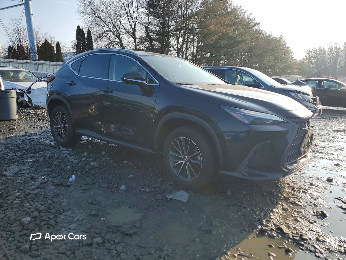 Lexus NX 2024