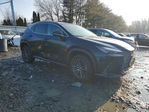 Lexus NX 2024