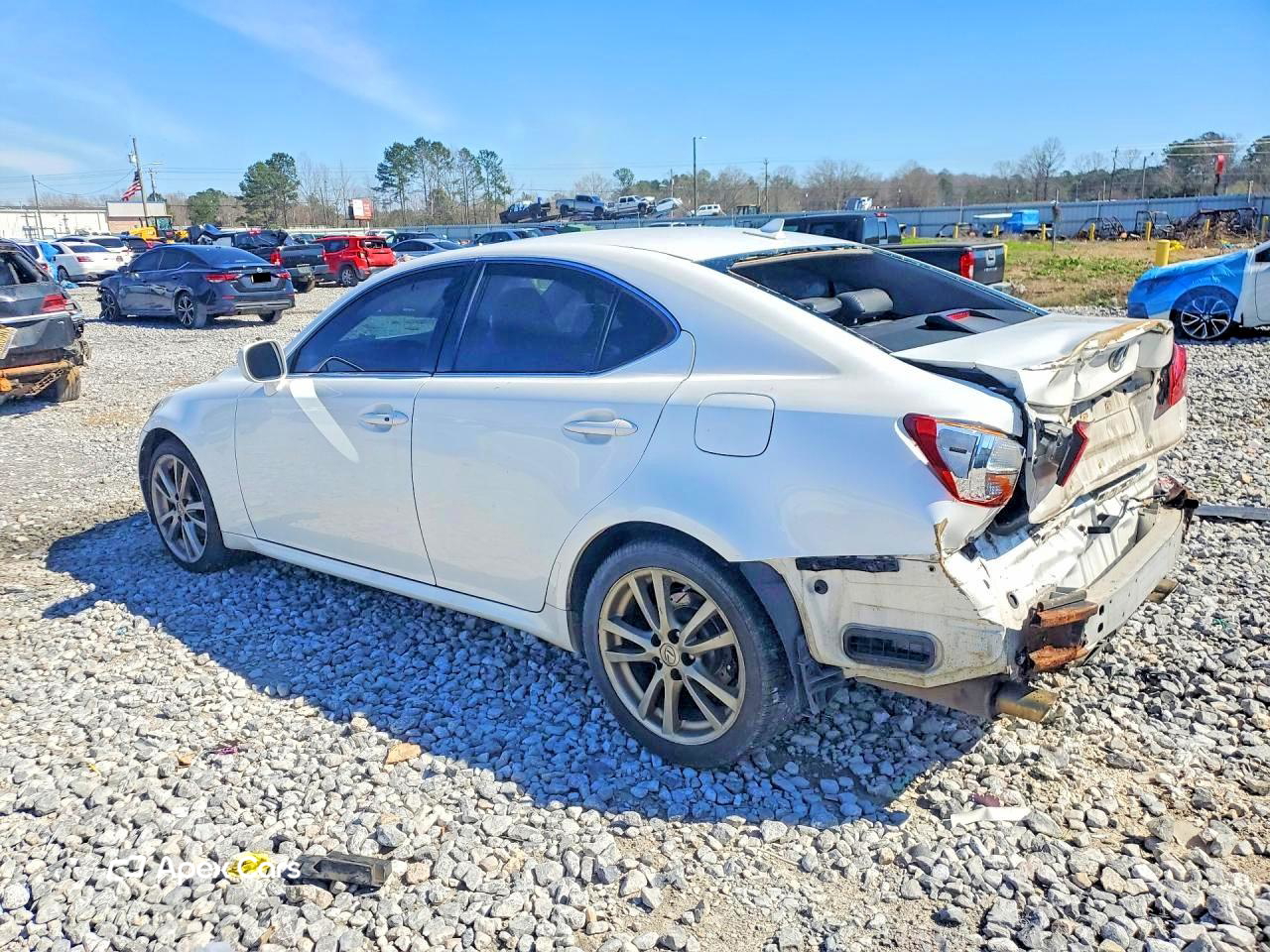 Lexus IS 2008