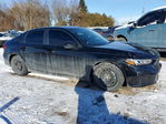 Honda Civic 2026