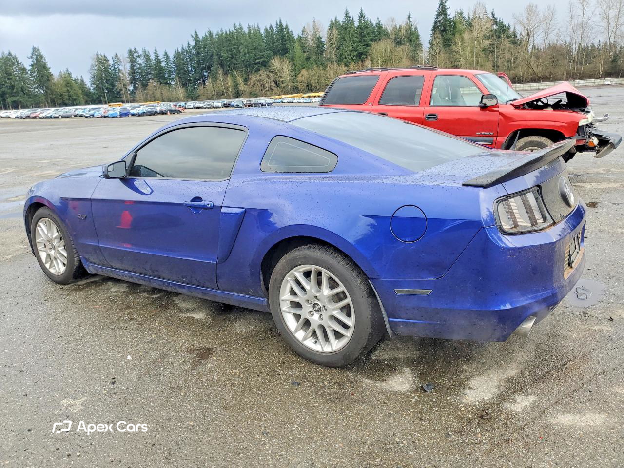 Ford Mustang 2014