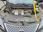 Lexus RX 2020