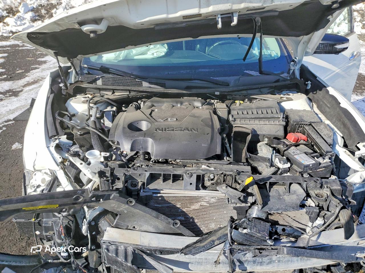 Nissan Maxima 2019
