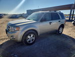 Ford Escape 2012