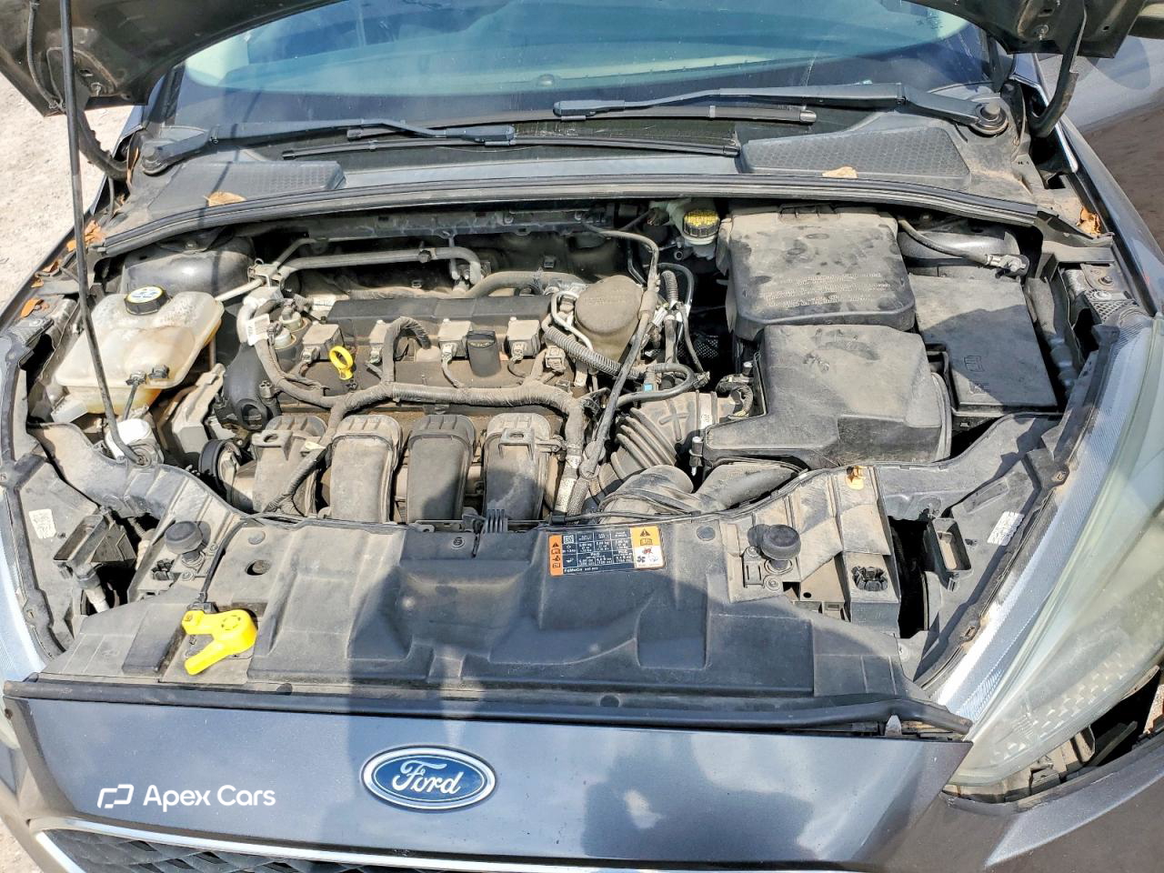 Ford Focus 2016