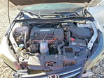 Honda Accord 2015