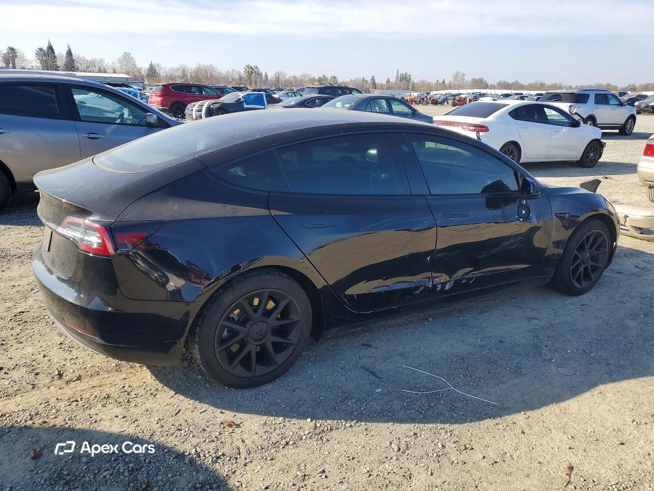 Tesla Model 3 2021
