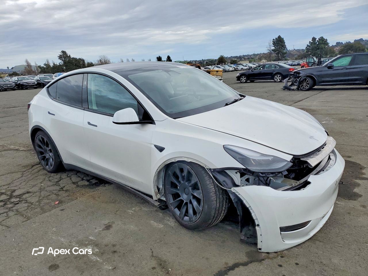Tesla Model Y 2025
