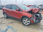 Ford Escape 2014