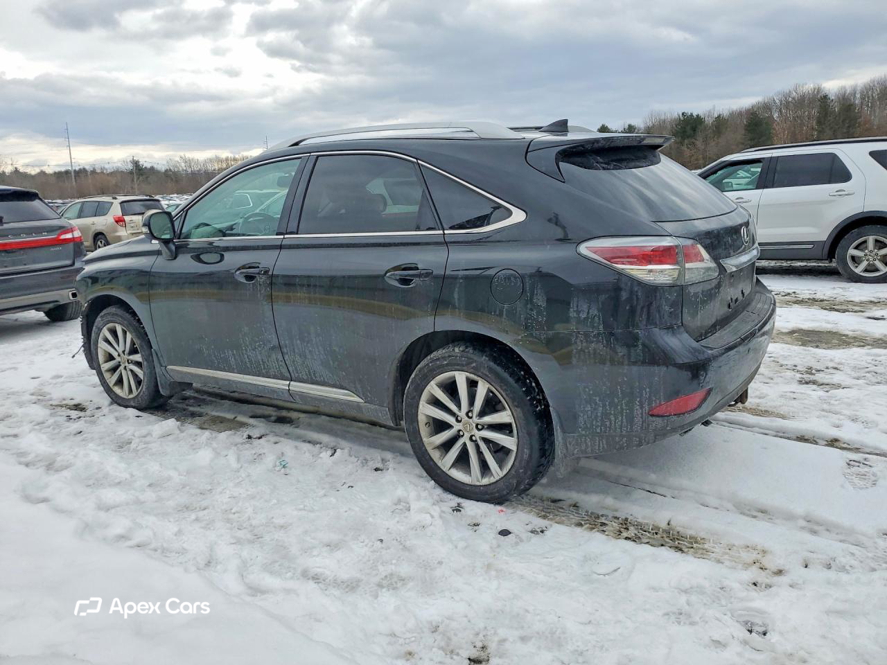 Lexus RX 2015