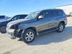 Lexus GX 2010