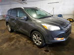 Ford Escape 2015