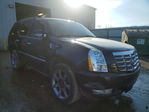 Cadillac Escalade 2011