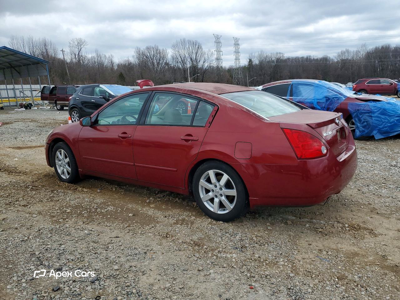 Nissan Maxima 2005