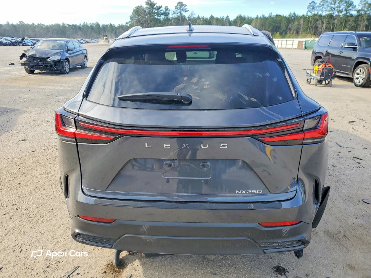 Lexus NX 2024