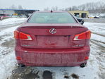 Lexus IS 2009