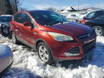 Ford Escape 2015